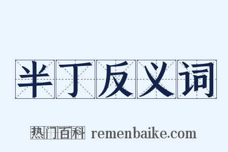 半丁反义词是什么意思的图片